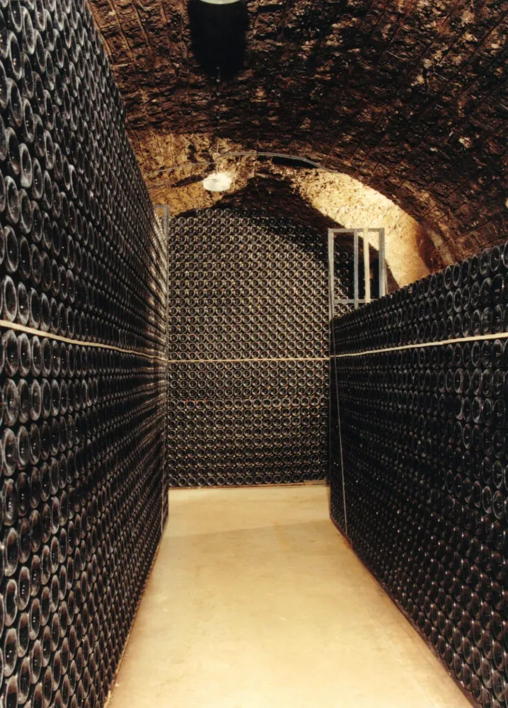 Clos des barraults à Mercurey